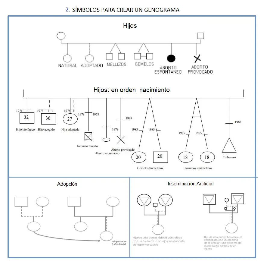 como se grafica adoptado en un genograma - Cómo demostrar la adopción en un genograma