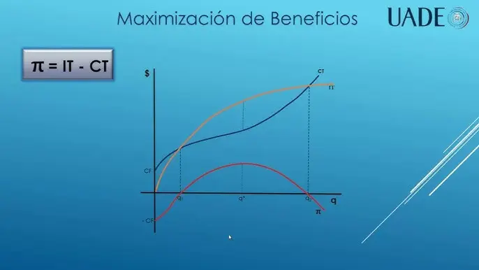 grafica de beneficio economico - Cómo determinar el beneficio económico en una gráfica