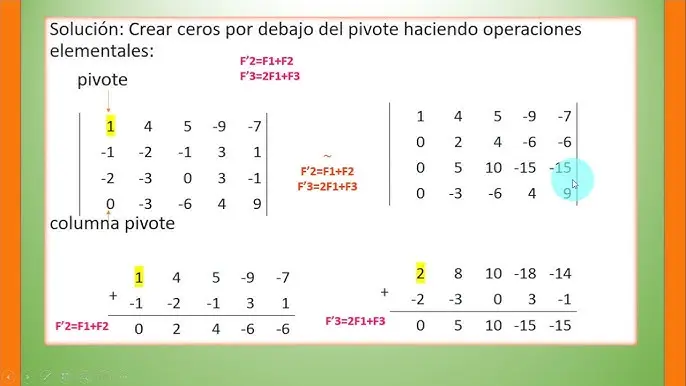 como determinar la matriz reducida de una grafica - Cómo determinar si una matriz está en forma reducida