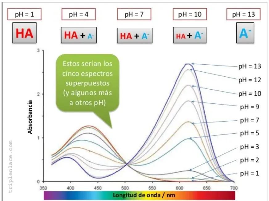 como determinar el pka en una grafica - Cómo encontrar pka en un gráfico