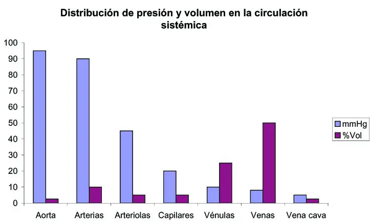 circulacion de la sangre presion grafica - Cómo es la variación de la presión en el sistema circulatorio