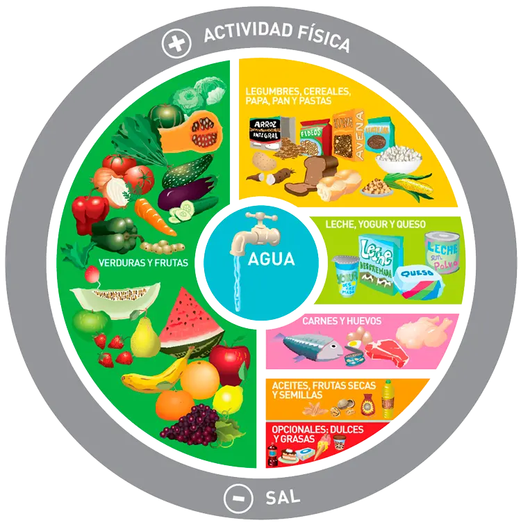 como explicar simple la grafica de alimentacion - Cómo explicar la alimentación