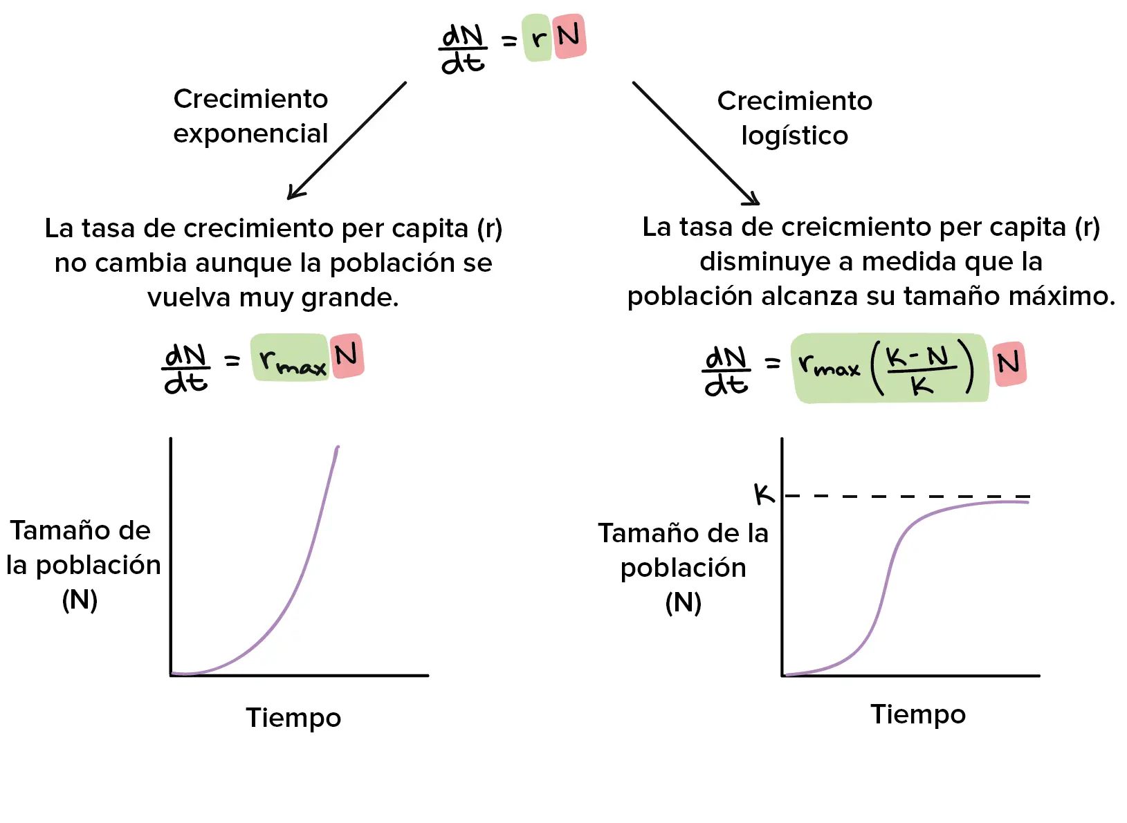 crecimiento exponencial grafica - Cómo expresar un crecimiento exponencial