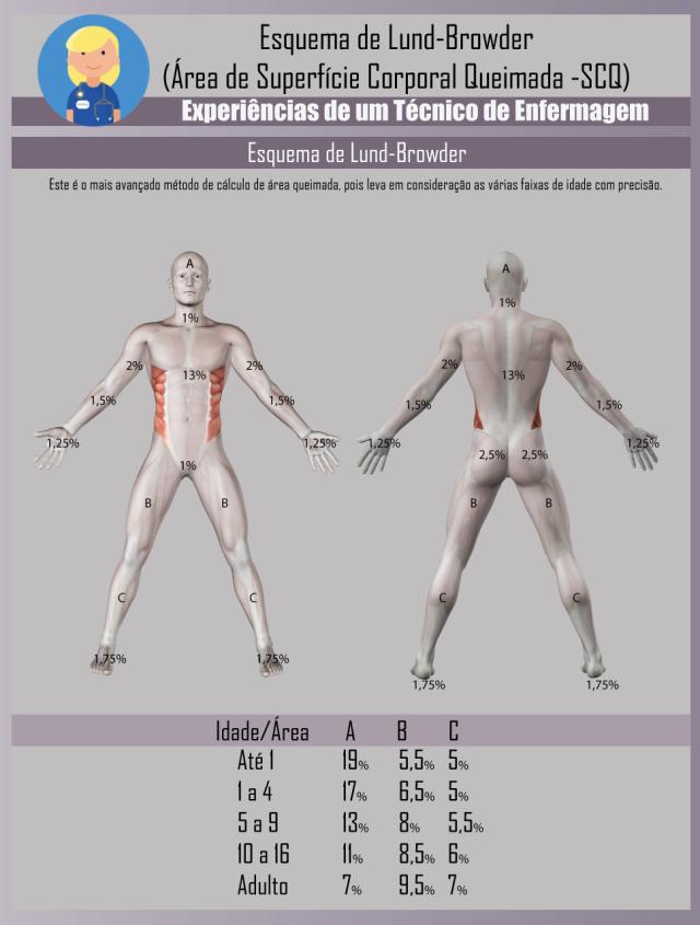 grafica lund y browder - Cómo funciona el diagrama de Lund y Browder