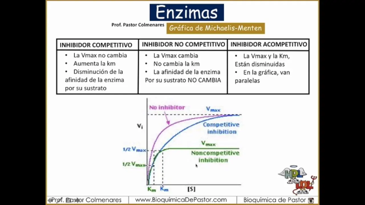 grafica inhibidor competitivo - Cómo funciona la inhibición competitiva