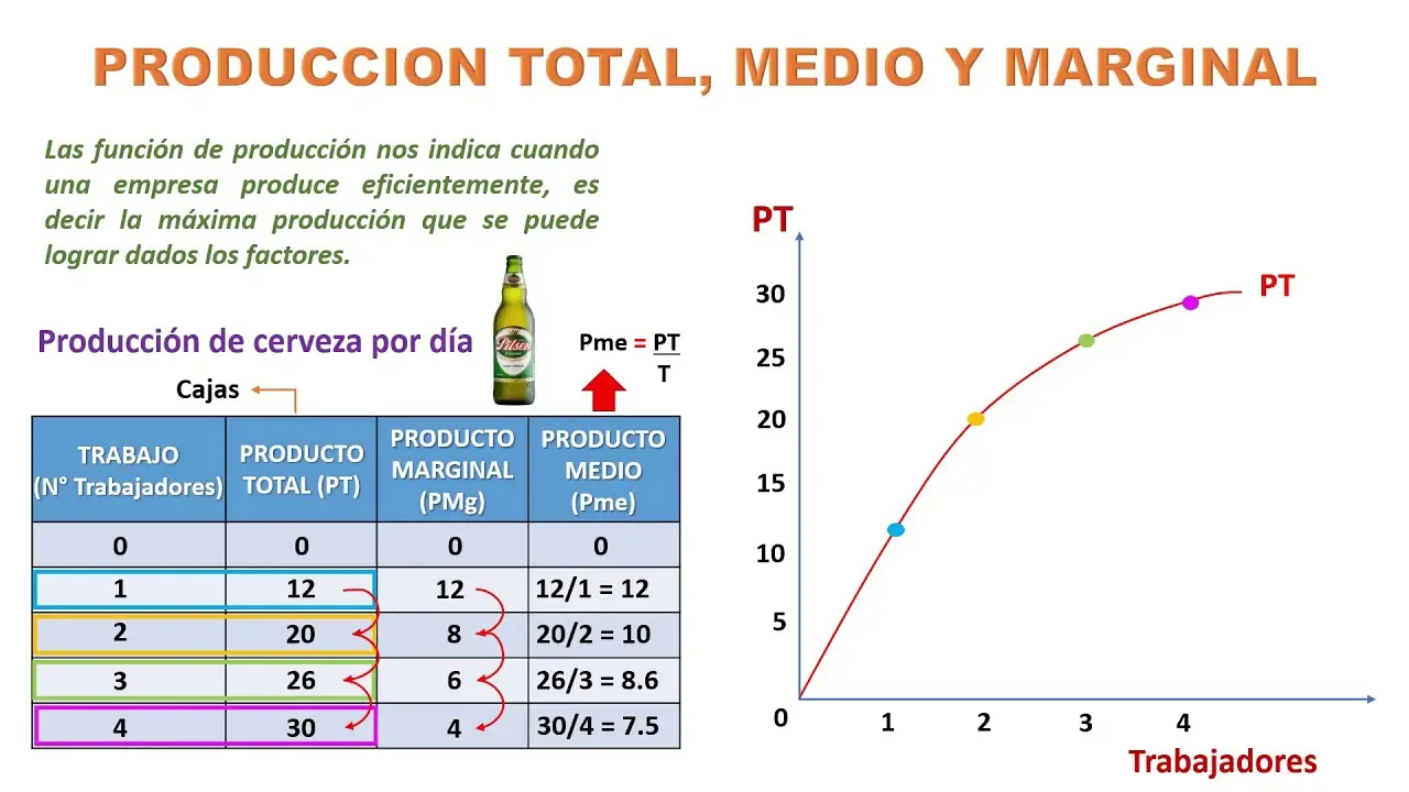 grafica de producto marginal - Cómo graficar el producto marginal del trabajo