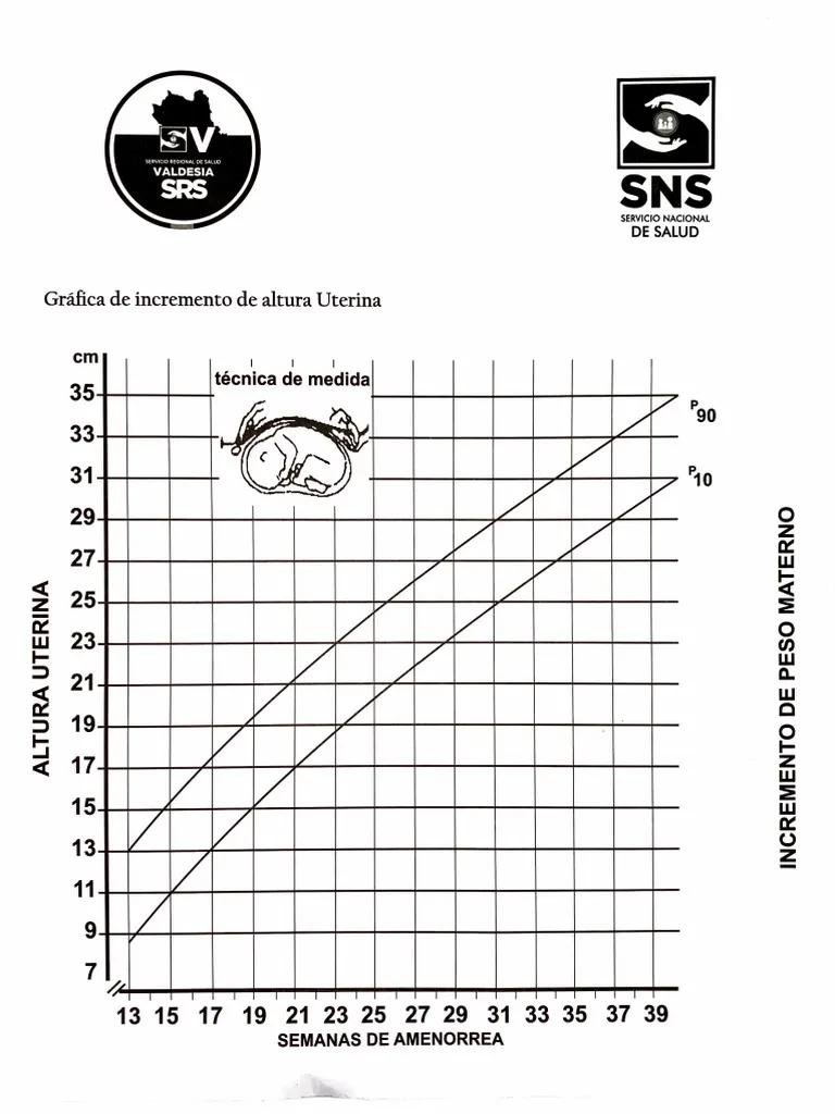 grafica de altura uterina - Cómo hallar la edad gestacional con la altura uterina