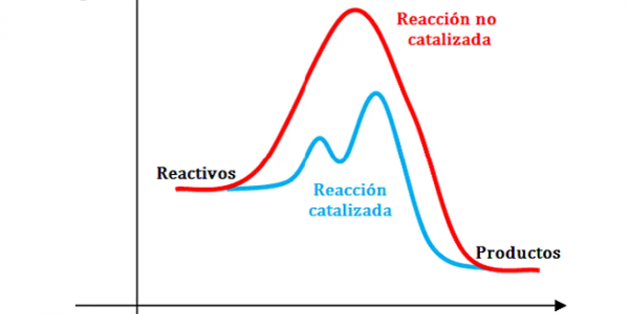 como afecta en la grafica y la velocidad un catalizador - Cómo influye un catalizador en la velocidad de una reacción