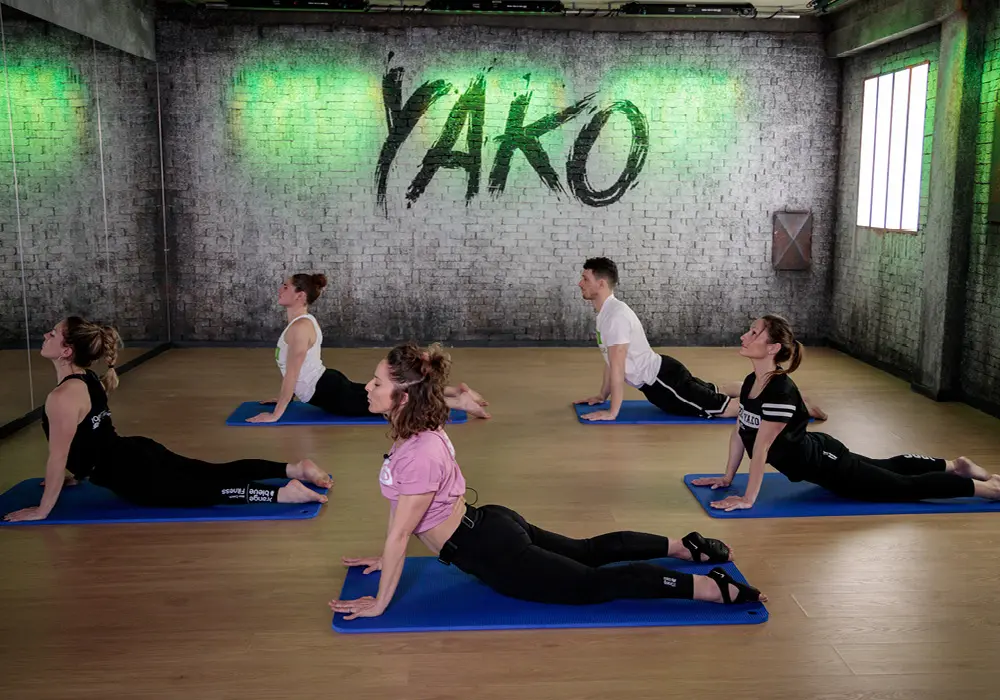 actividades gimnasio grafica - Cómo planificar una rutina de gimnasio