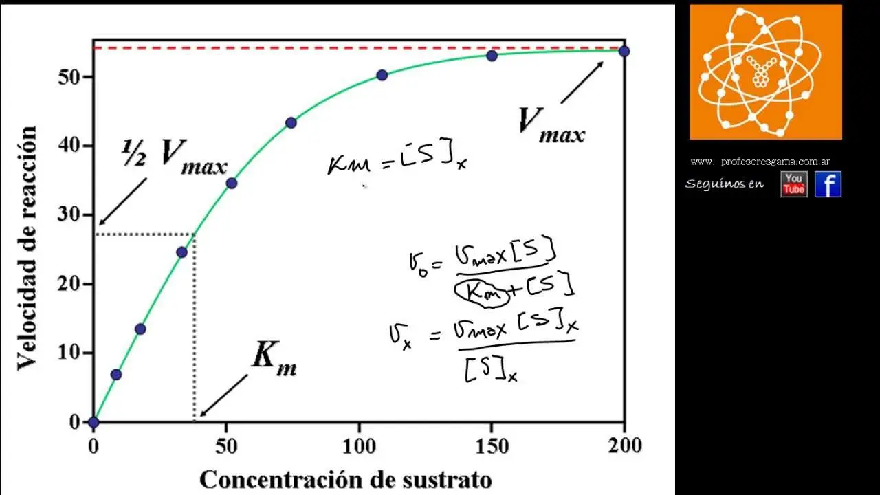 grafica de michaelis menten - Cómo saber qué tipo de inhibidor es