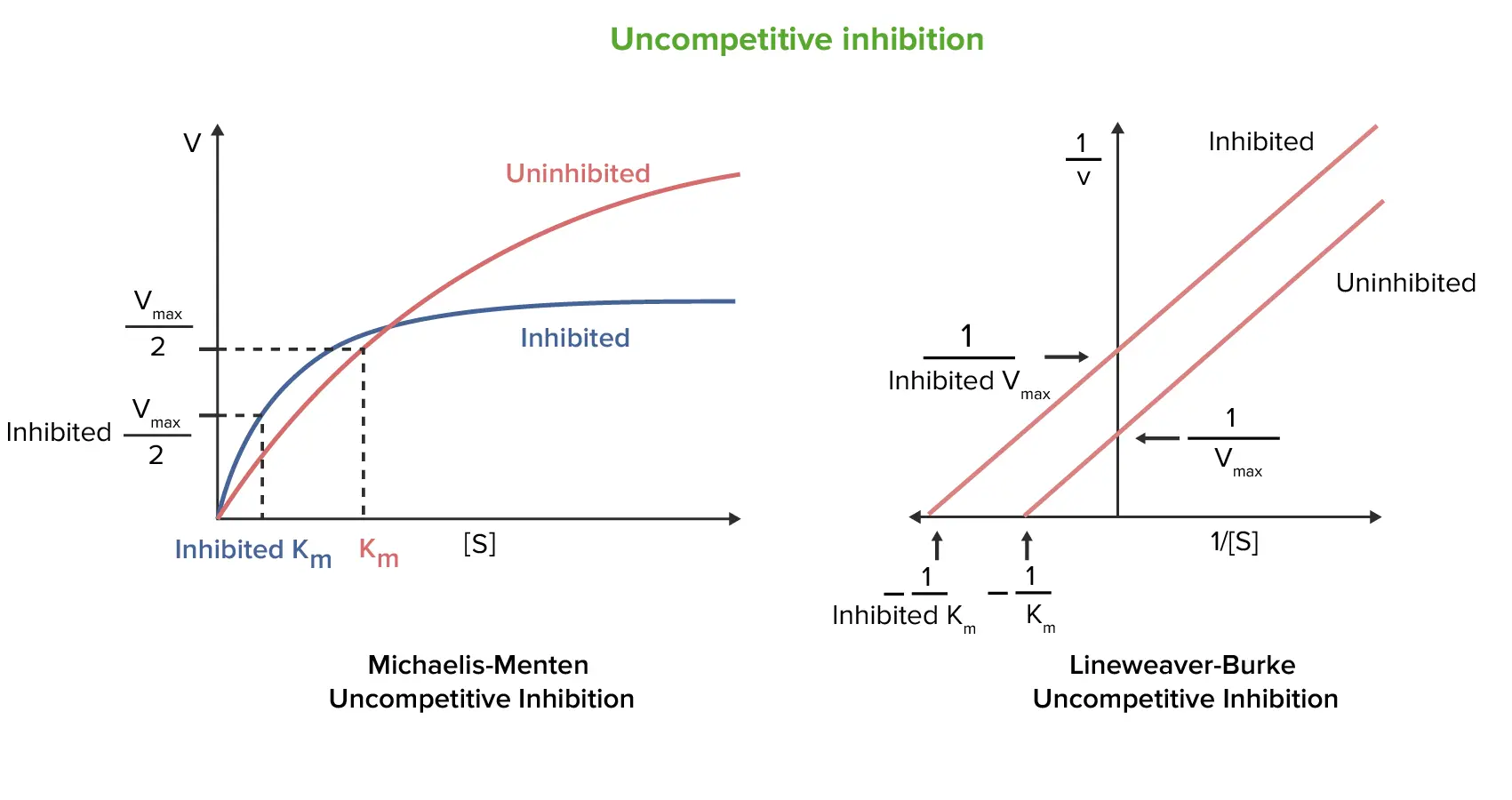 inhibicion no competitiva grafica - Cómo se calcula la KI