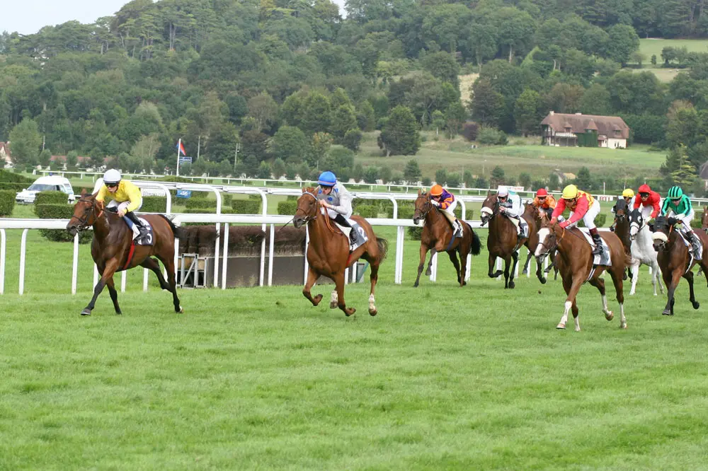 caballo de carrera grafica - Cómo se clasifican los caballos de carreras