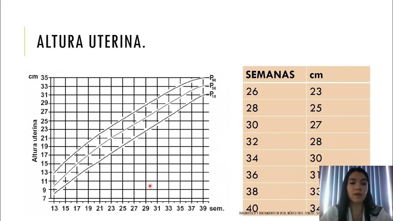 grafica de altura uterina - Cómo se interpreta la altura uterina