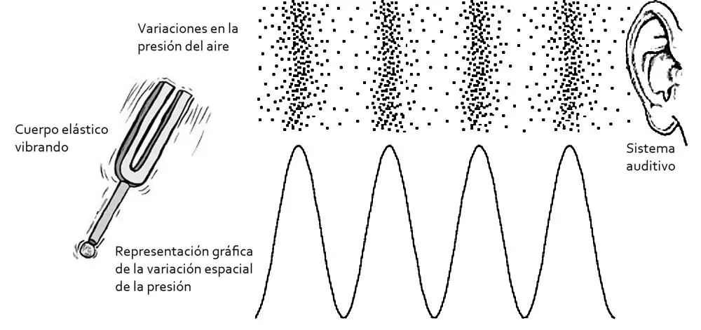 como se produce el fenomeno sonoro grafica - Cómo se producen los sonidos sonoros