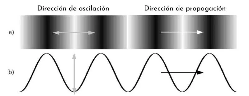 grafica de ondas longitudinales - Cómo se representa la longitud de onda