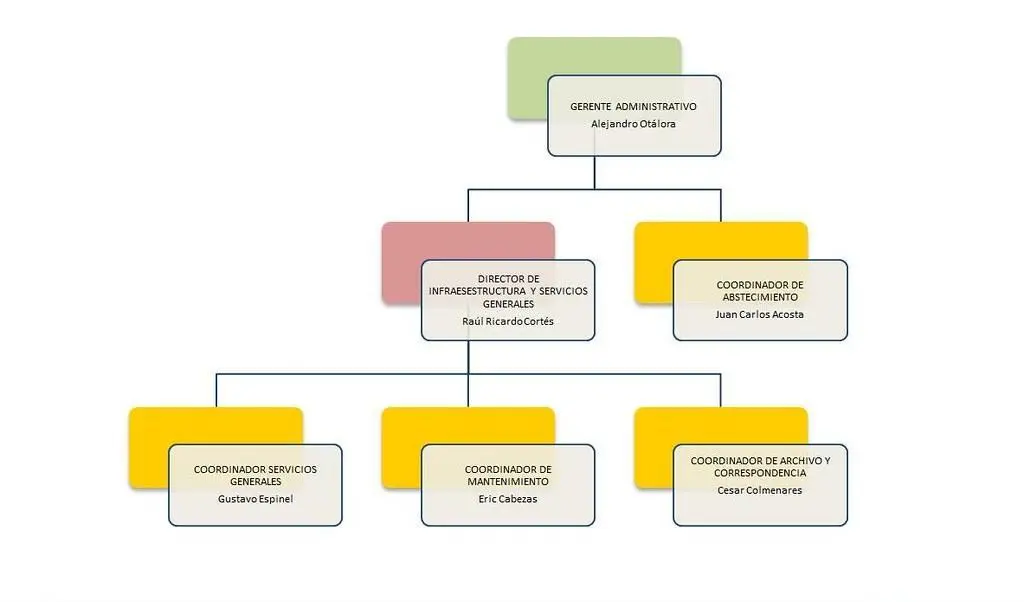 representacion grafica de la estructura formal - Cómo se representa la organización formal