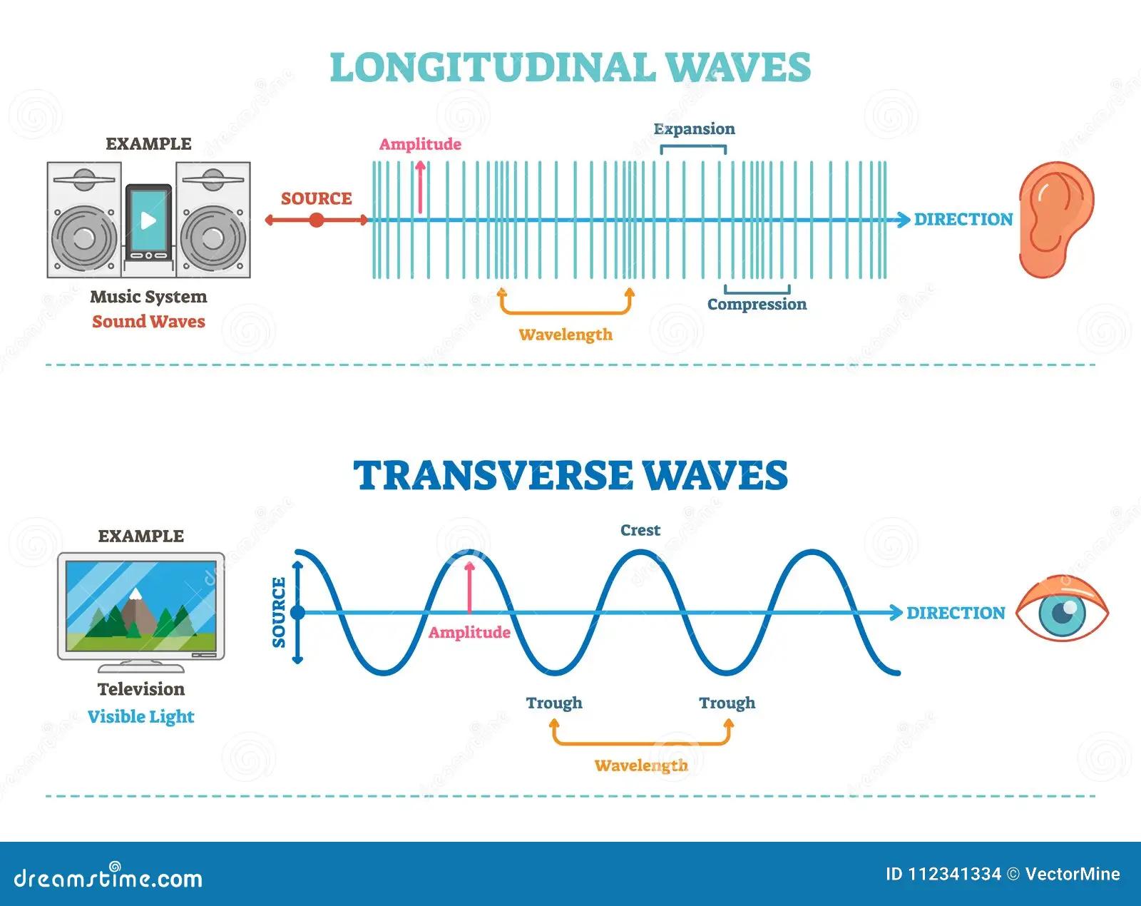 grafica de ondas longitudinales - Cómo se representan las ondas longitudinales