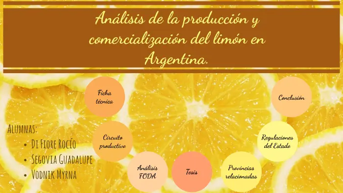 circuitos productivos limon grafica - Cuál es el circuito productivo del limón