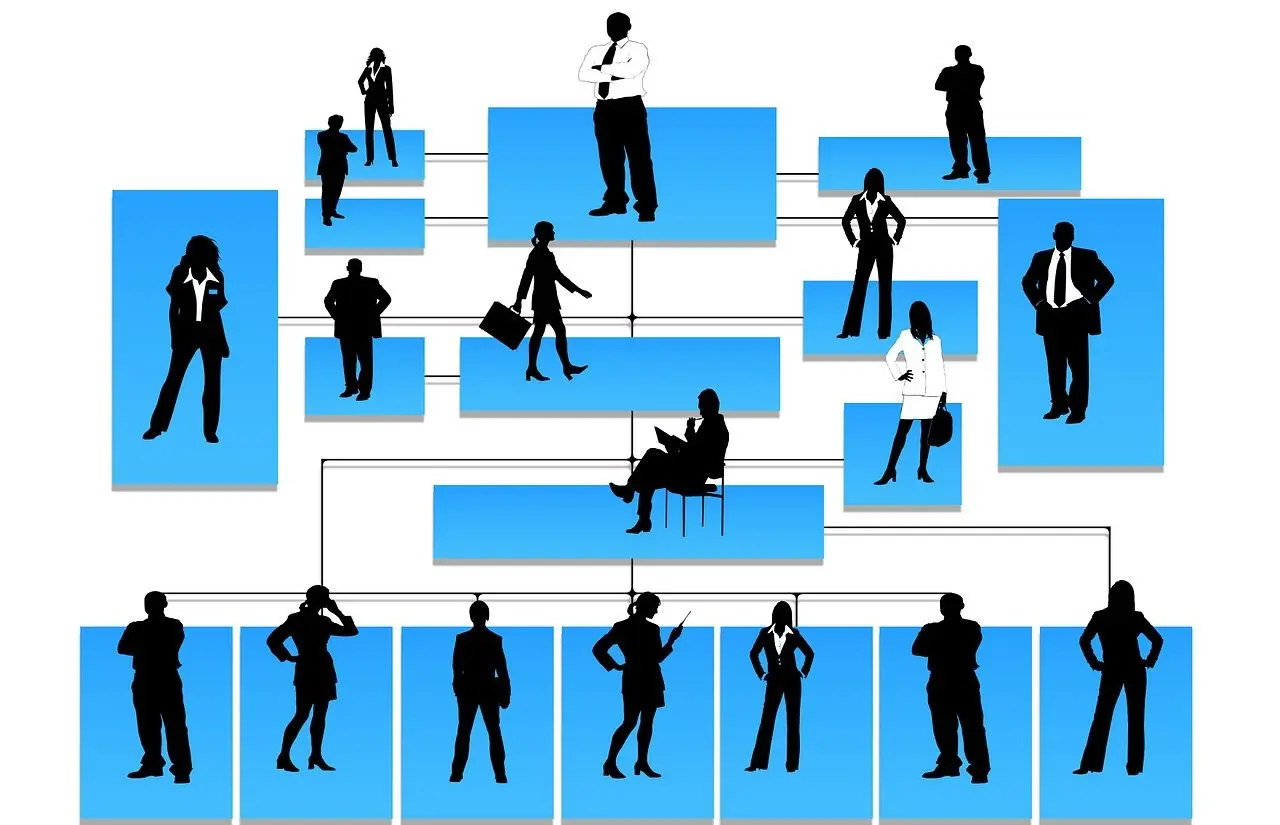 representacion grafica de la estructura formal - Cuál es la estructura formal