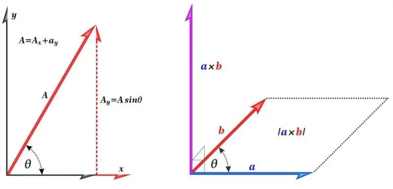 caracteristicas de un vector y su representacion grafica - Cuáles son las 4 propiedades de un vector