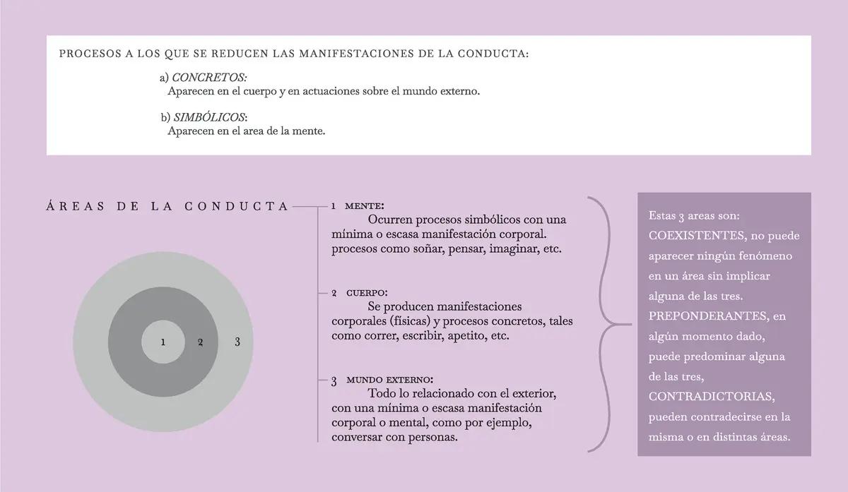 areas de la conducta grafica - Cuáles son las áreas de la conducta