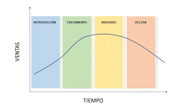 etapa grafica - Cuáles son las etapas de los dibujos