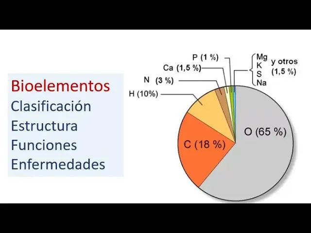 bioelementos biomoleculas grafica - Cuáles son los 27 bioelementos