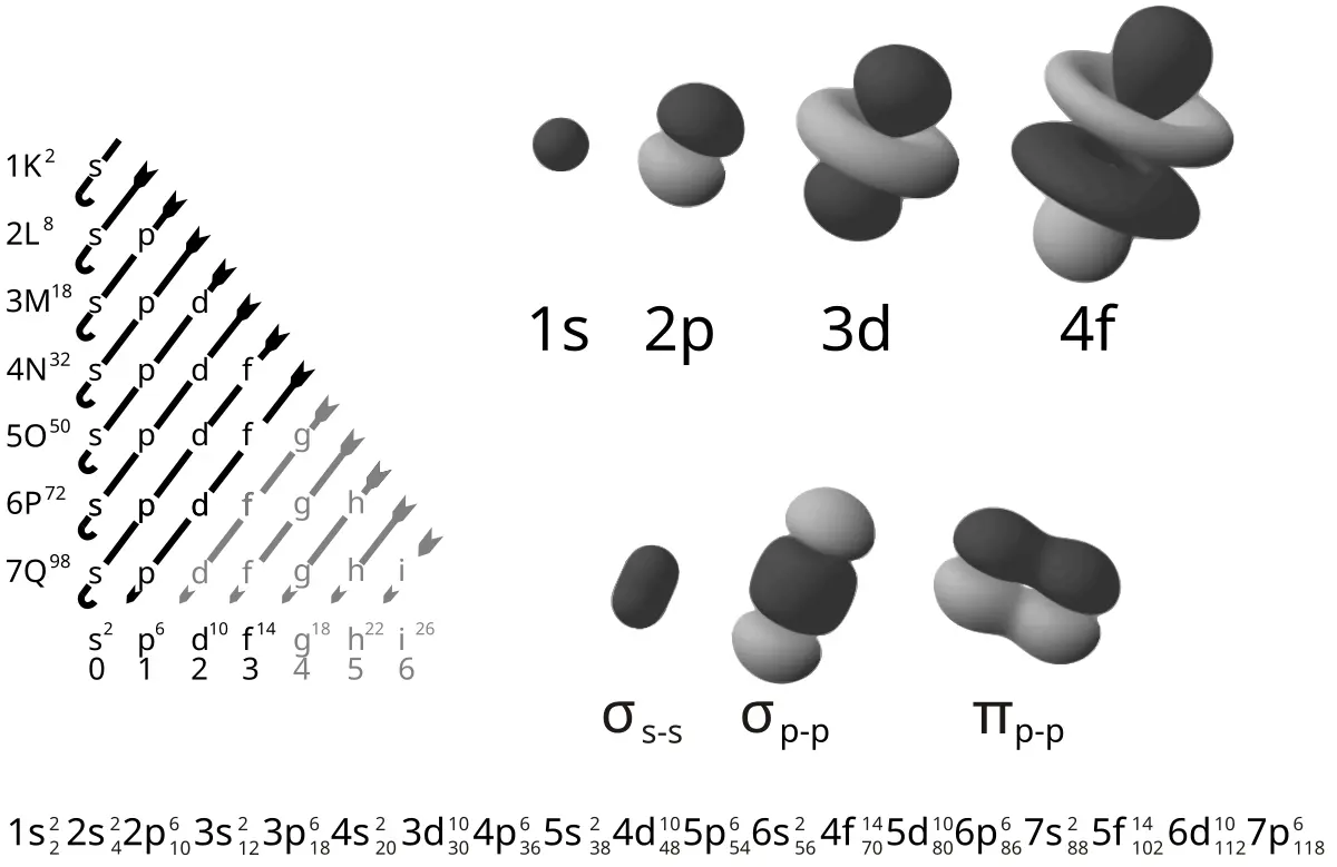 representacion grafica de los orbitales - Cuáles son los 4 tipos de orbitales