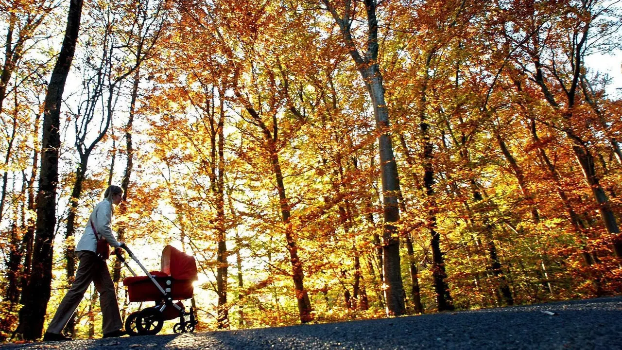 de otoño imprenta - Cuáles son los meses de otoño