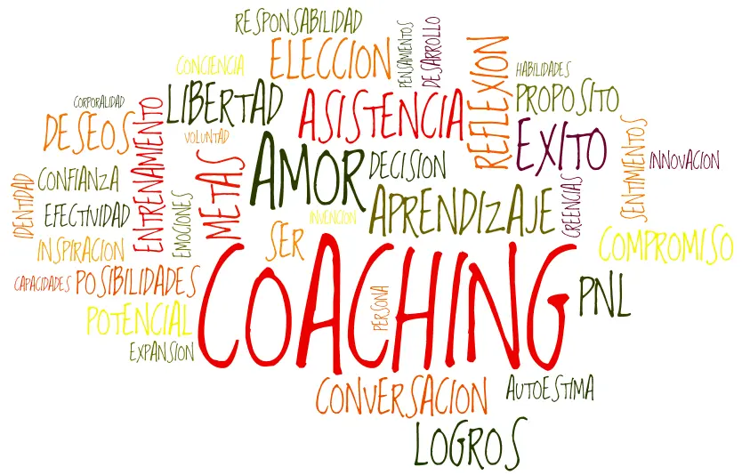 coaching ontologico descripcion grafica - Cuáles son los principios del coaching ontológico