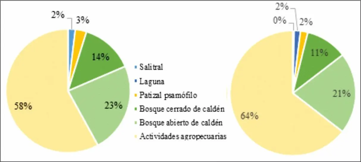 areas de seriedad de sobrepastoreo en grafica en argentna - Dónde hay sobrepastoreo en Argentina