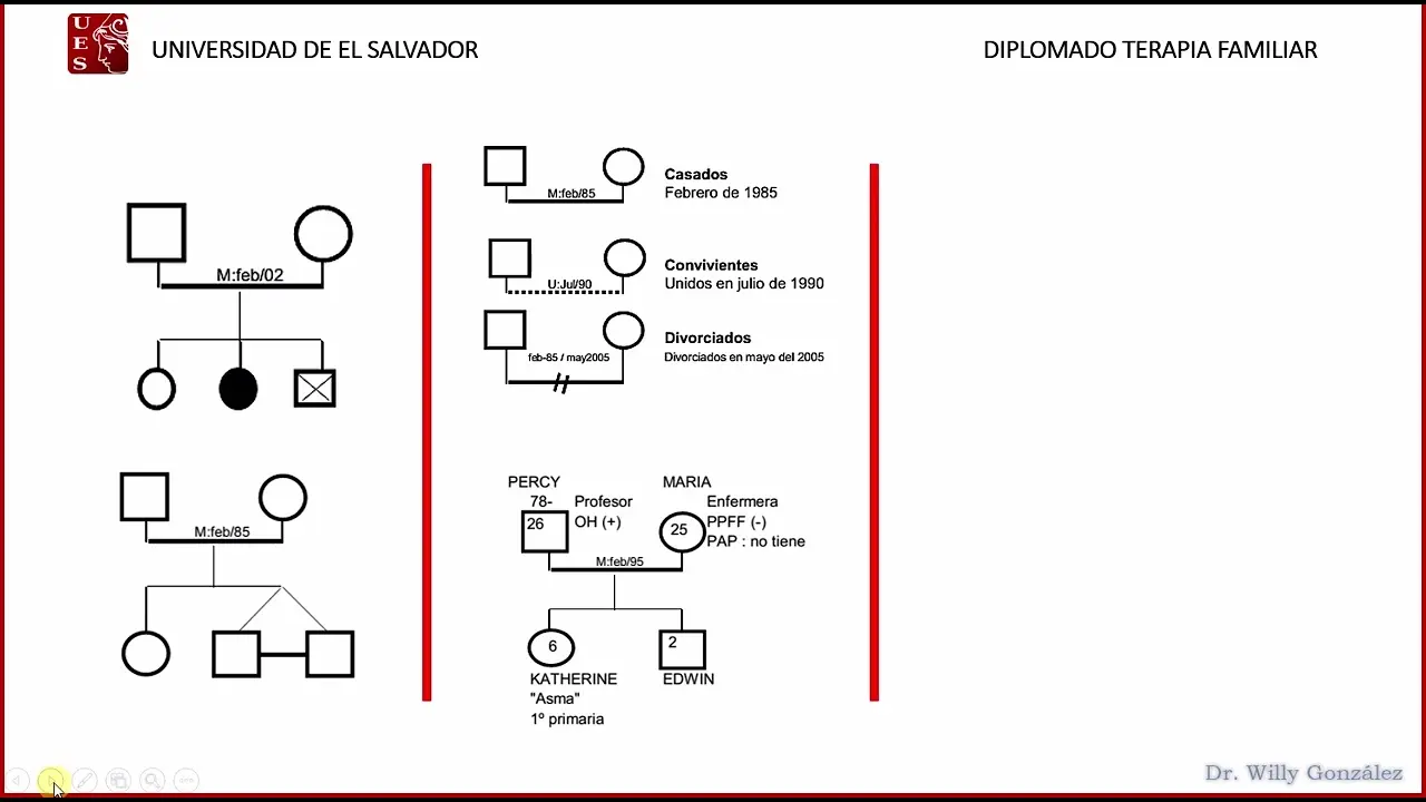 como se grafica el desempleo en un familiograma - Qué debe contener el familiograma