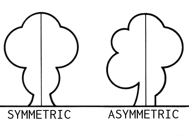 asimetria imprenta - Qué es la asimetría en el dibujo