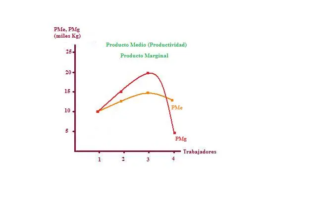 grafica de producto marginal - Qué es la curva de producto marginal