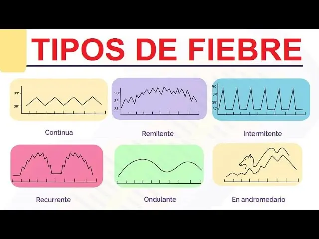 fiebre continua grafica - Qué es la temperatura continua