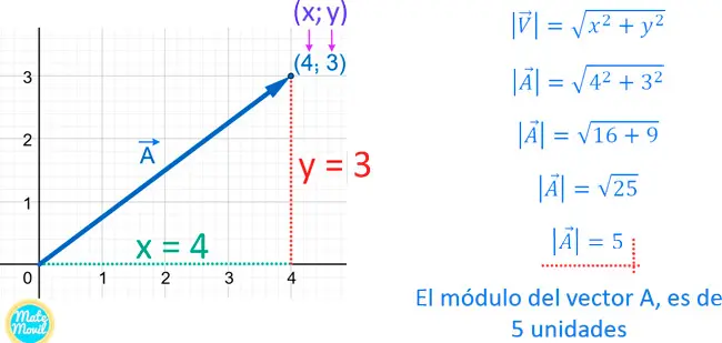 ejercicios de representacion grafica de vectores - Qué es un vector 3 ejemplos