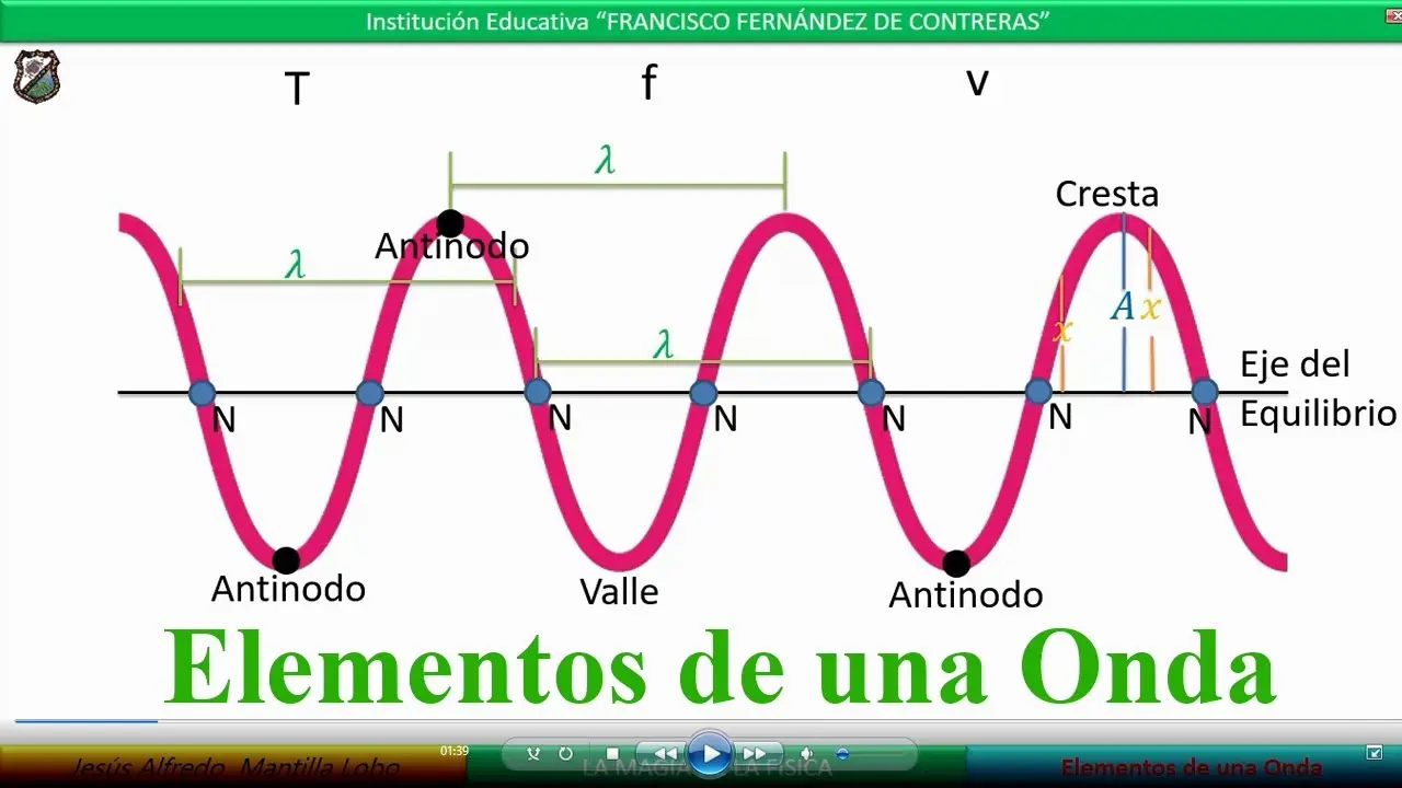 grafica una onda y señala sus elementos - Qué es una onda y 3 ejemplos