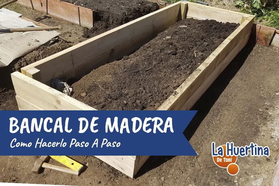 bancal de madera grafica - Qué madera usar para un bancal