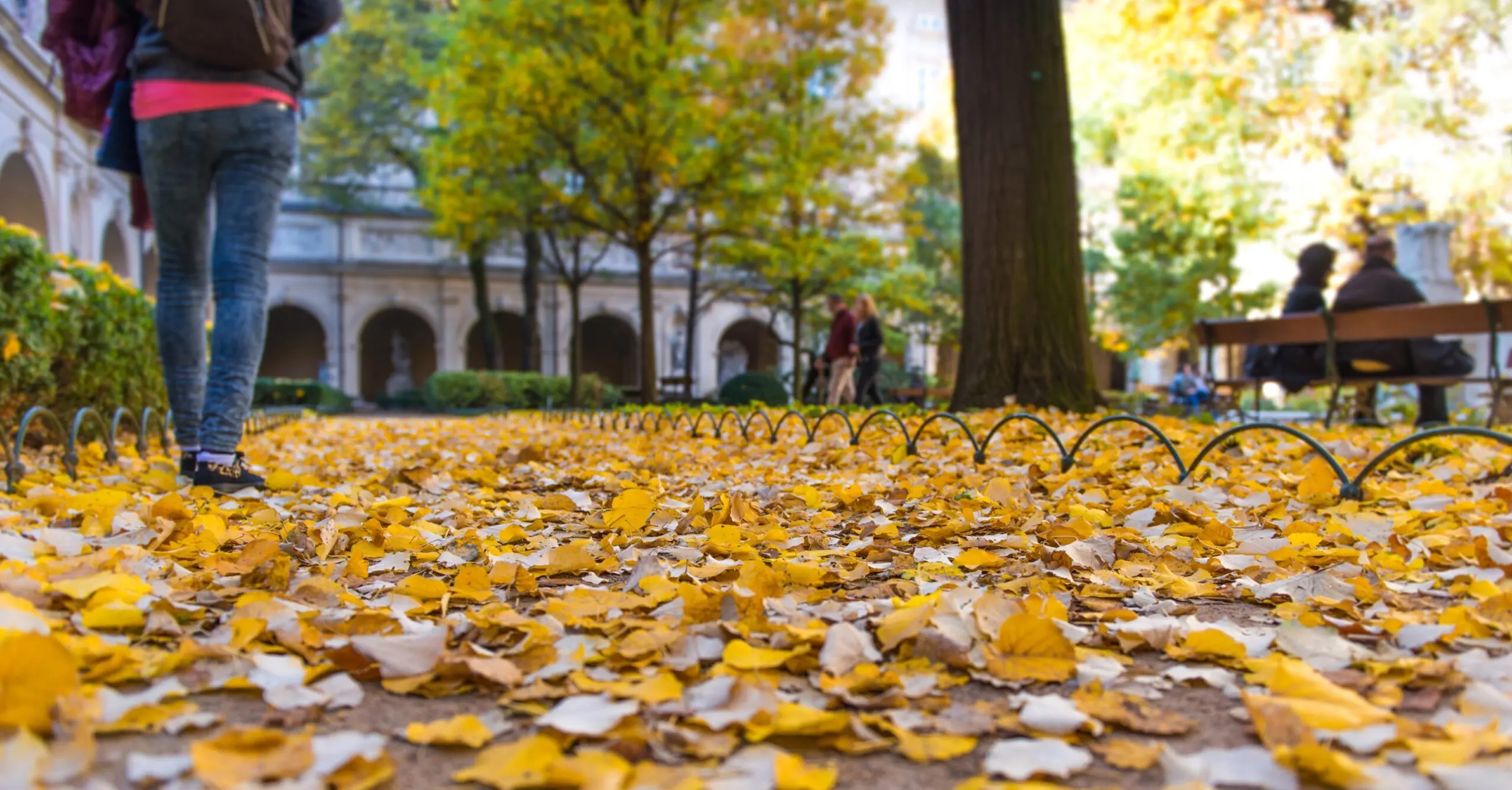 estudio de otoño imprenta - Qué marca el inicio del otoño