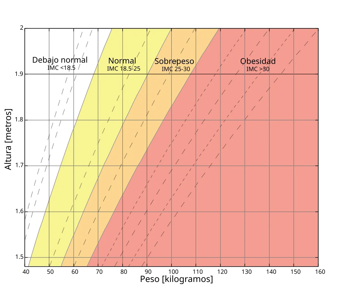 grafica de indice de masa corporal en adolescentes - Qué porcentaje de grasa corporal debe tener un adolescente