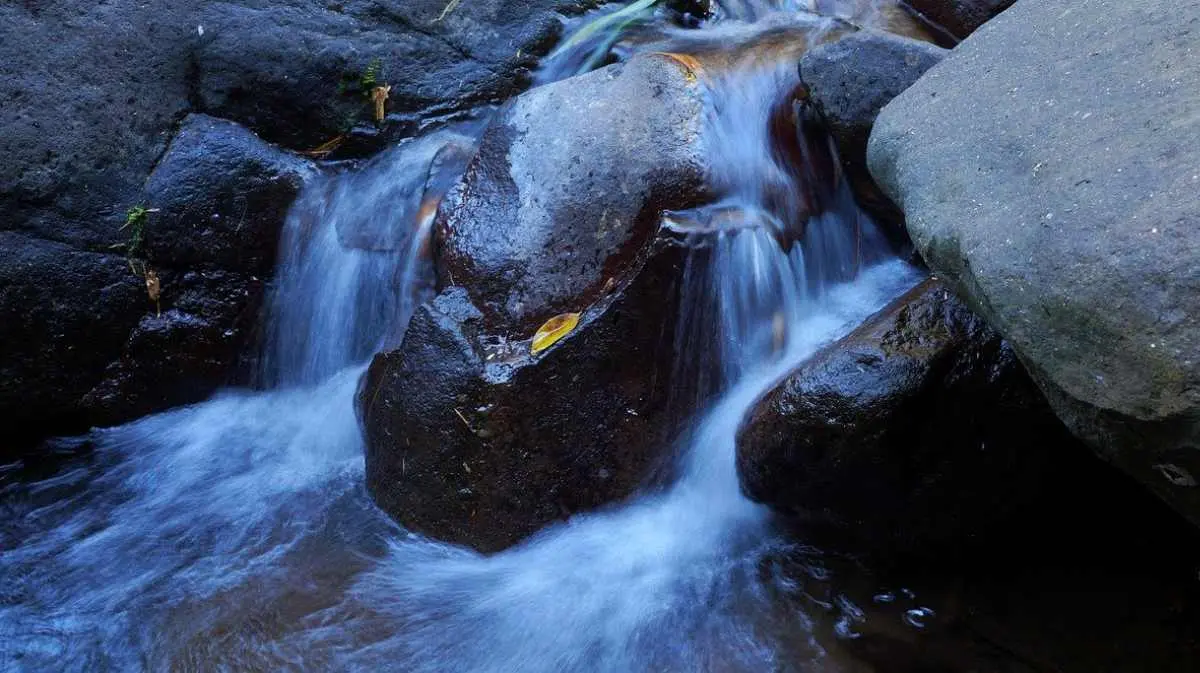 el agua texto informativo imprenta - Qué puedo escribir sobre el agua