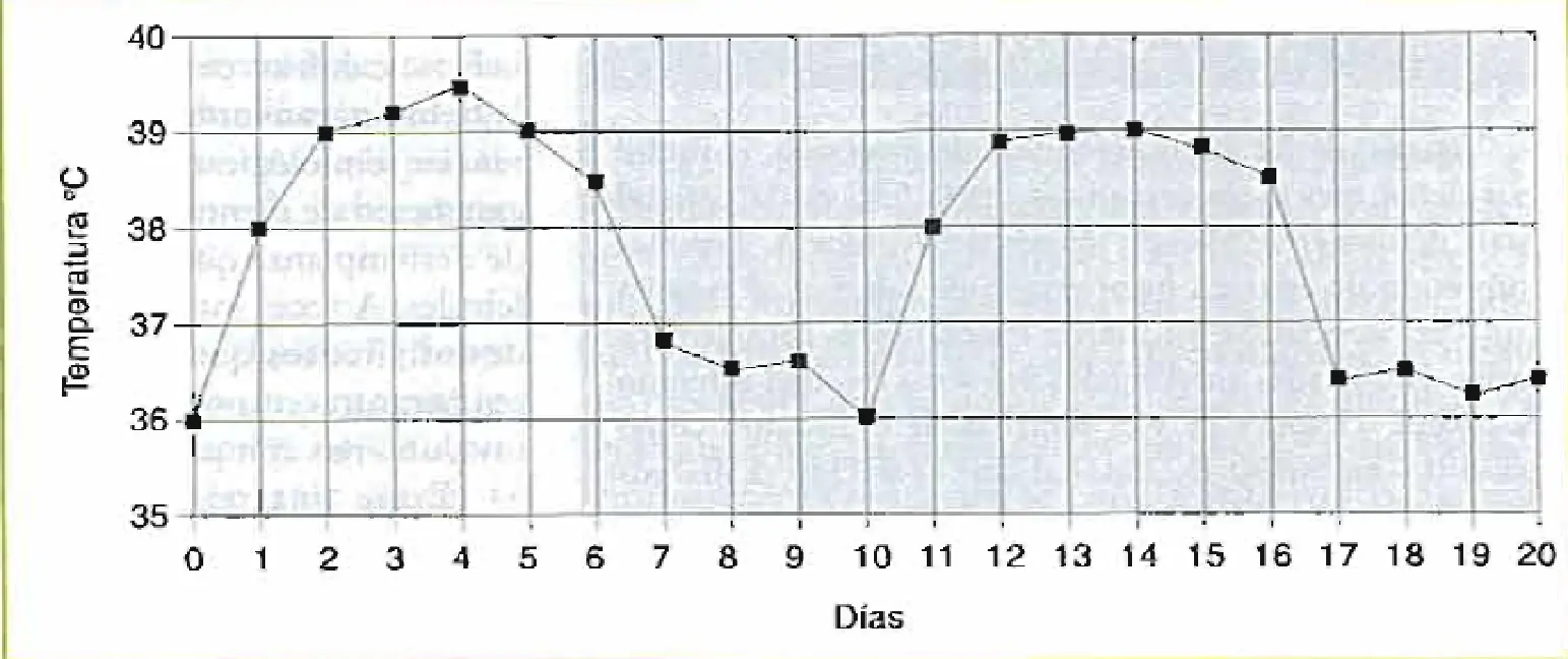 fiebre continua grafica - Qué quiere decir fiebre continua