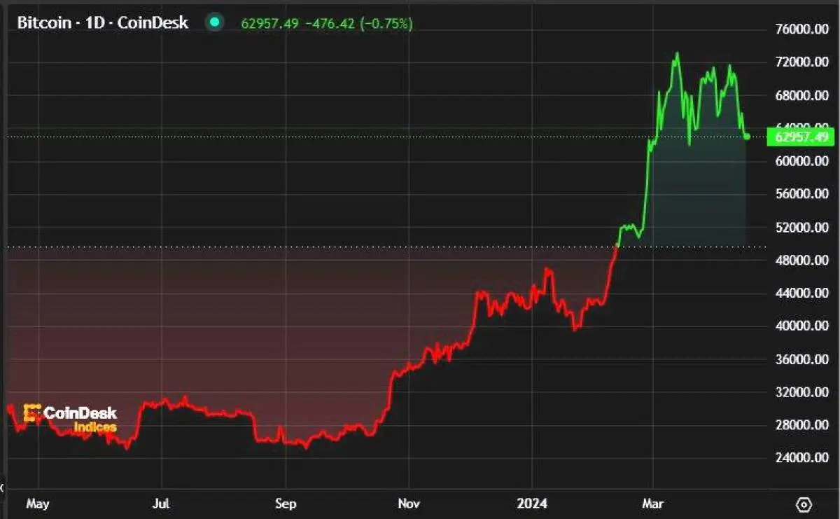 bitcoin con grafica en alza - Qué se espera del Bitcoin en 2024