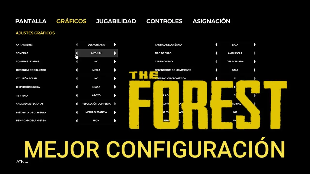 the forest configuracion grafica - Qué se necesita para jugar The Forest