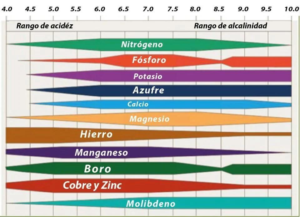 como debe interpretarse la escala grafica del ph - Qué significa que una solución tenga un pH entre 1 y 6