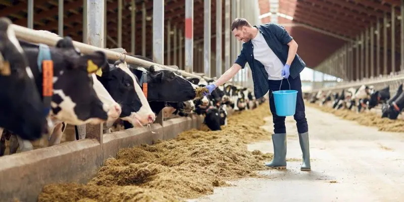 agricultura bienes primarios intercambios imprenta organizacion industrial - Qué son las actividades primarias de la industria