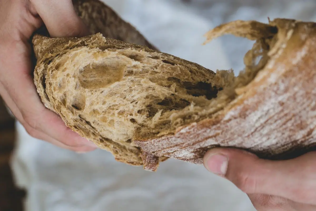 arte grafica de panaderia - Qué son las técnicas de panadería