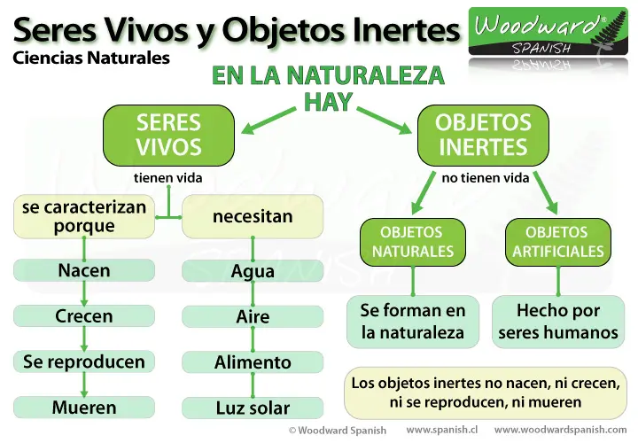 definicion seres vivos e inertes en imprenta mayuscula - Qué son seres vivos e inertes