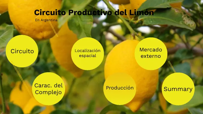 circuitos productivos limon grafica - Qué tan rentable es el limón