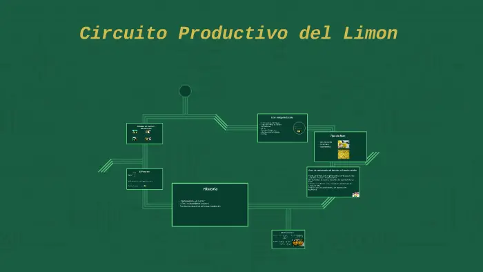 circuitos productivos limon grafica - Qué tipos de circuitos productivos existen